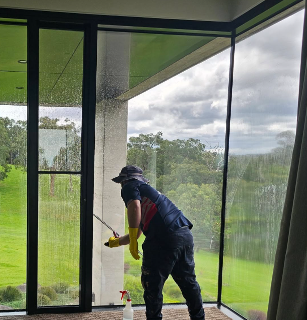 How to Professionally Clean Windows: Tips and Techniques for Sparkling Results